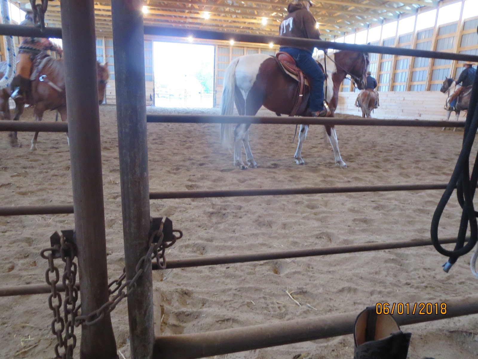 kirkville Horse Wiser