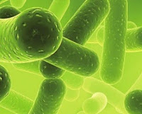 kaitkan dengan berbagai macam penyakit yang ditimbulkan Pengertian Virus: Apa itu Virus?