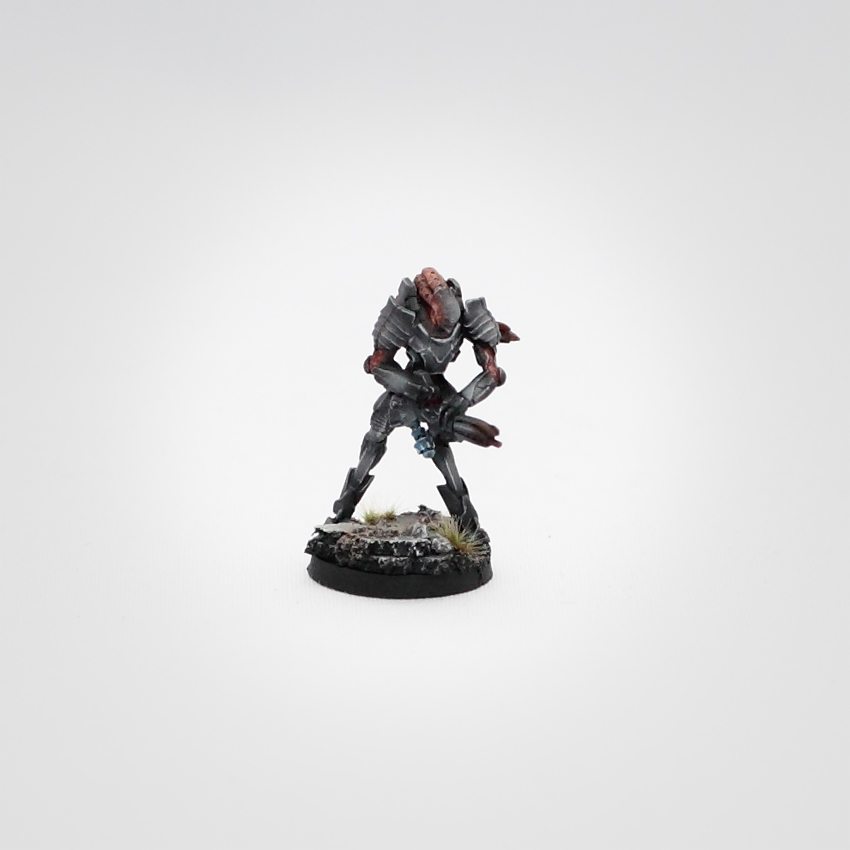 The Dark Prophet Chronicles: Miniature Spotlight: Infinity - Combined ...