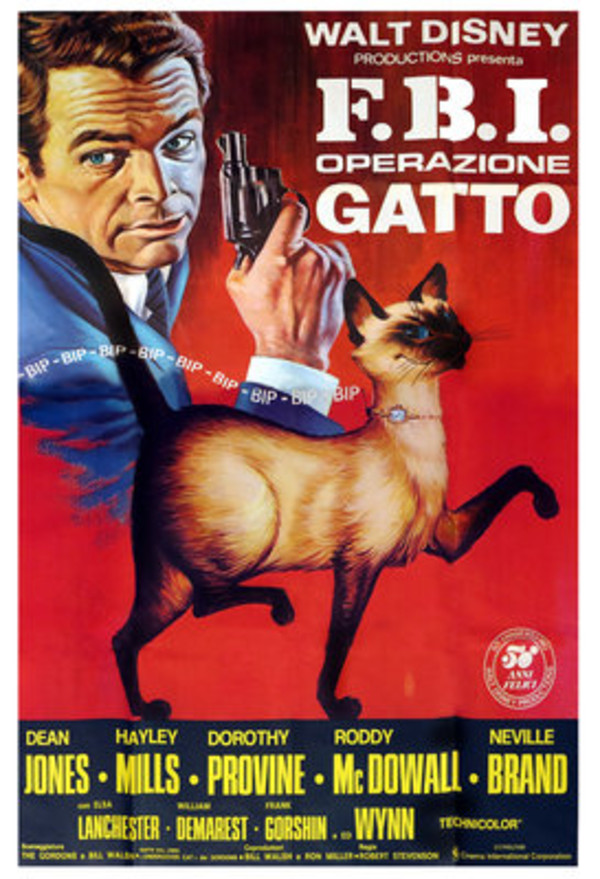 Blog Di Cinema E Non Solo Film Vintage Recensione Di Fbi