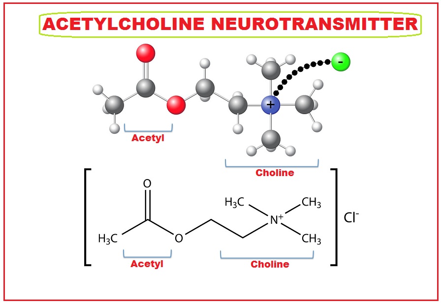 Adding Open Graph Protocol Ogp Tags To Your Blogger Blog Uni
