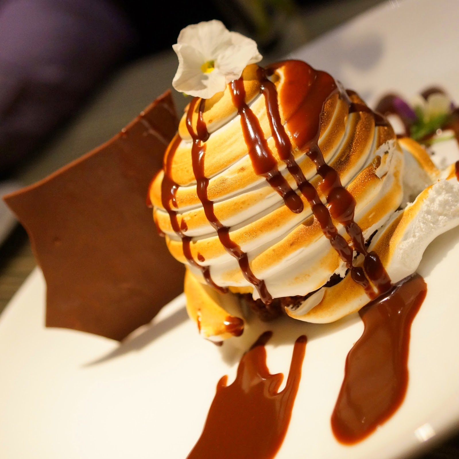 Baked Alaska Dessert, from Salsipuedes, Panama