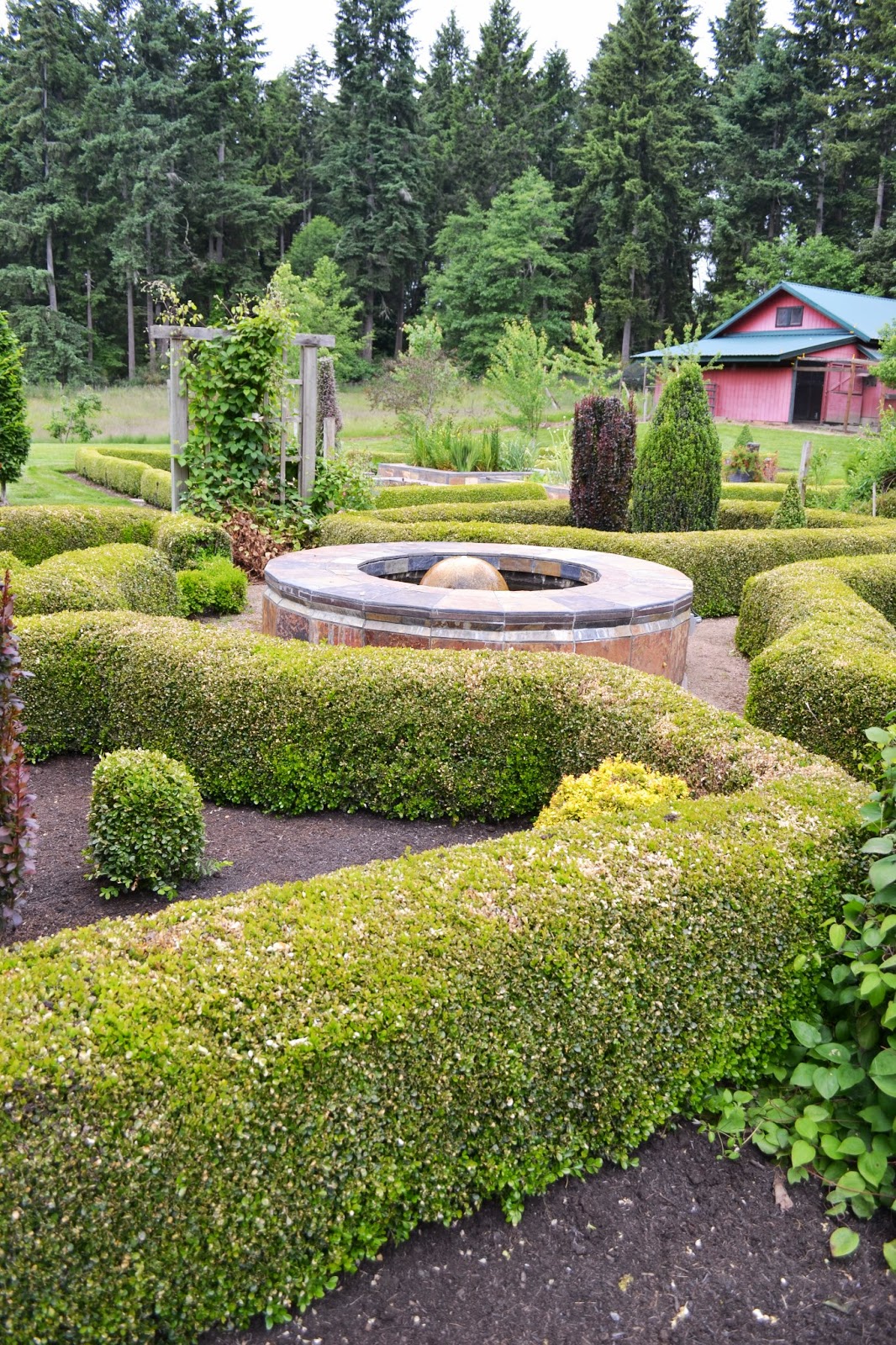 The Outlaw Gardener The Vashon Island Northwest Perennial Alliance