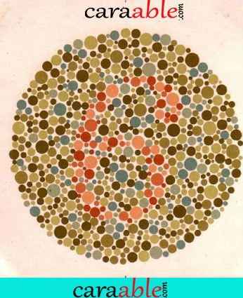 Soal Tes Buta Warna Pdf Guru Paud