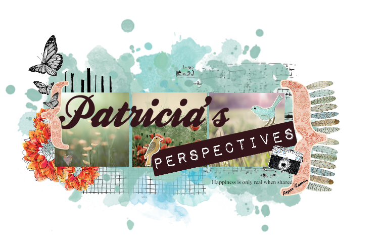 Patricias Perspectives