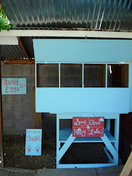 chicken coop recycled backyard cool sign eggs