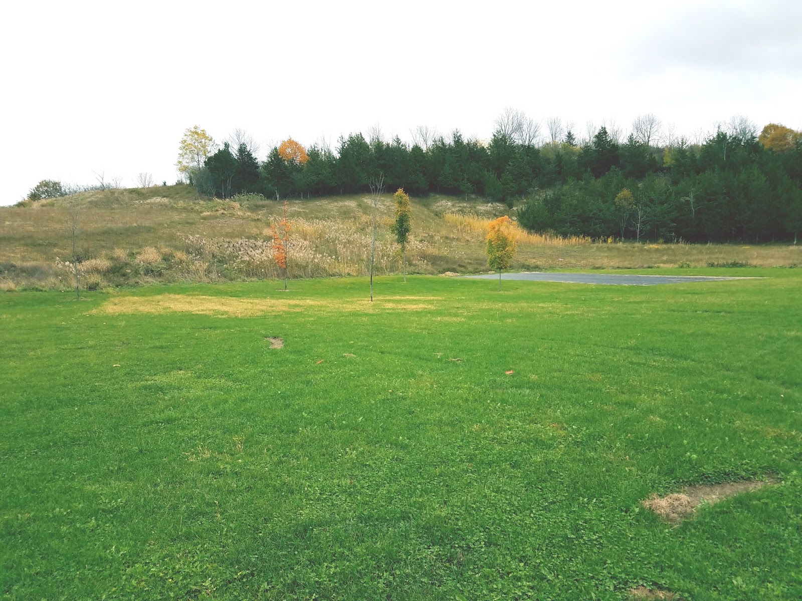 The Gossips of Rivertown Hudson Is Getting a Dog Park!