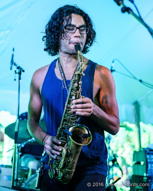 Busty and The Bass at Riverfest Elora Bissell Park on August 20, 2016 Photo by John at One In Ten Words oneintenwords.com toronto indie alternative live music blog concert photography pictures