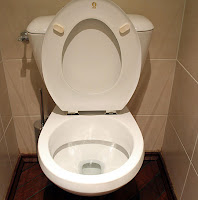 Keep the toilet seat up America!
