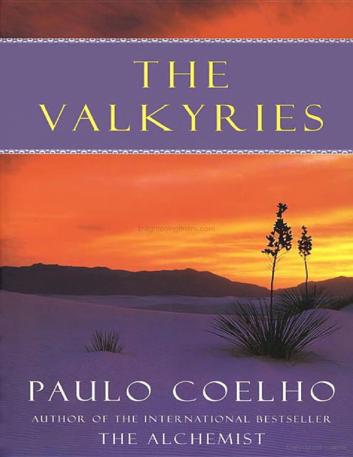 Paulo Coelho The Winner Stands Alone Pdf