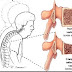 Inilah Ramuan Tradisional Obat Alami  Mengatasi Gangguan  Penyakit  Osteoporosis