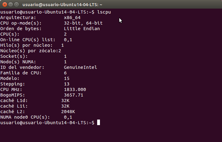 Ubuntu socket. Ubuntu socket. Ubuntu socket. Socket linux. 04 install no raid option.