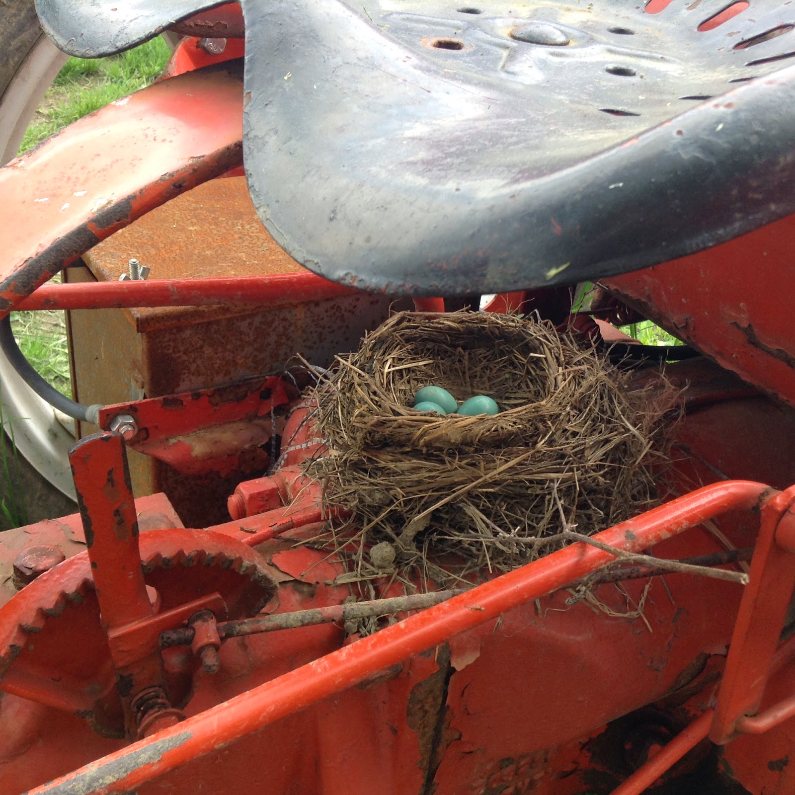 Robin's nest under tractor seat