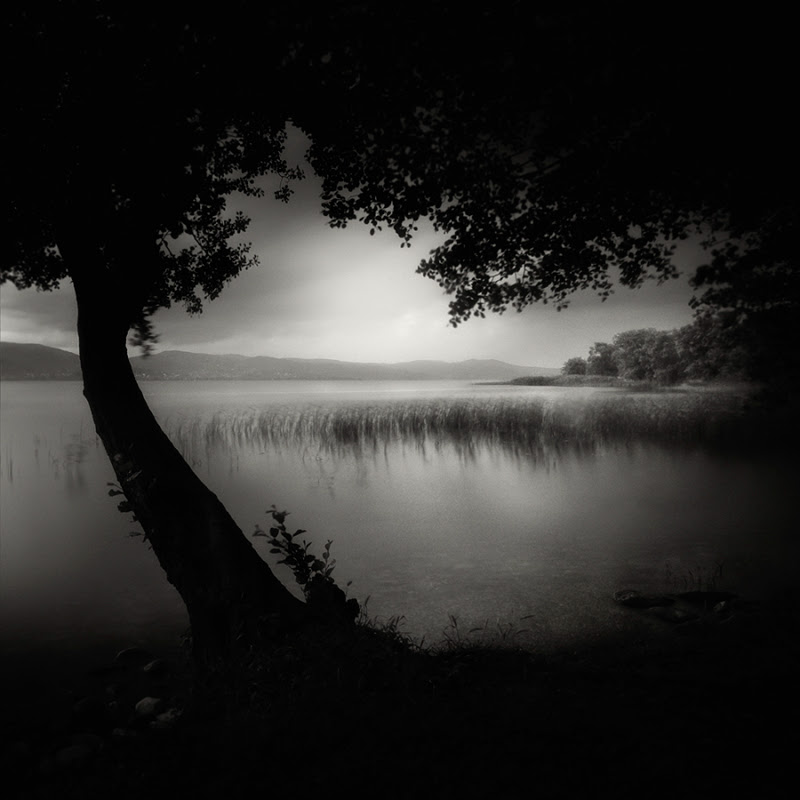 'Dark Beauty' a series of Beautiful Nature Photography by Yucel Basoglu.