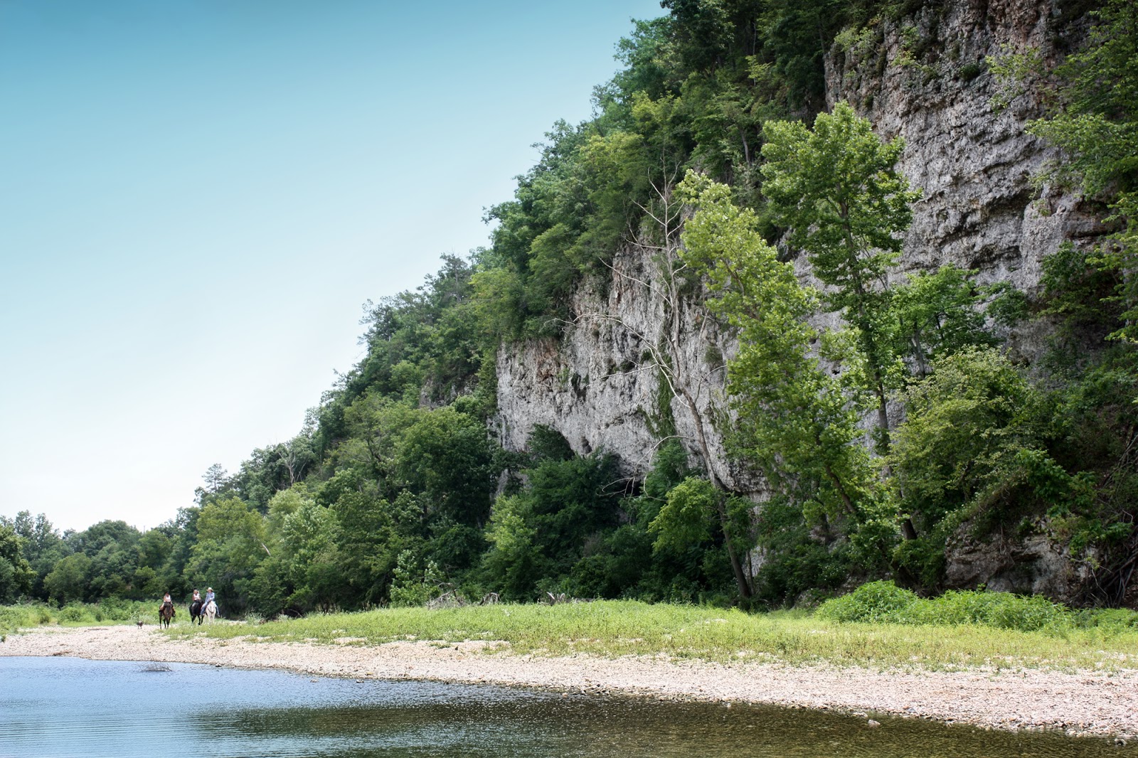 Baron Fork Ridge Horse Camp 2012