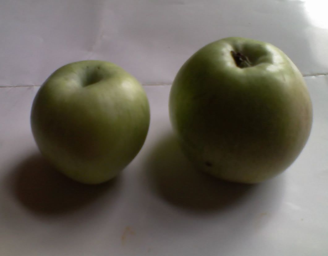 тренировочно-рисовальное : выполнение задания№3 курса акварели (зеленое ...