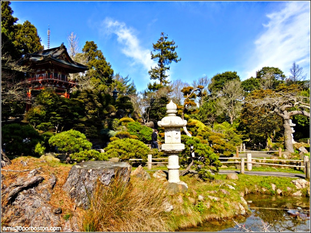Japanese Tea Garden: San Francisco Japanese Tea Garden: San Francisco