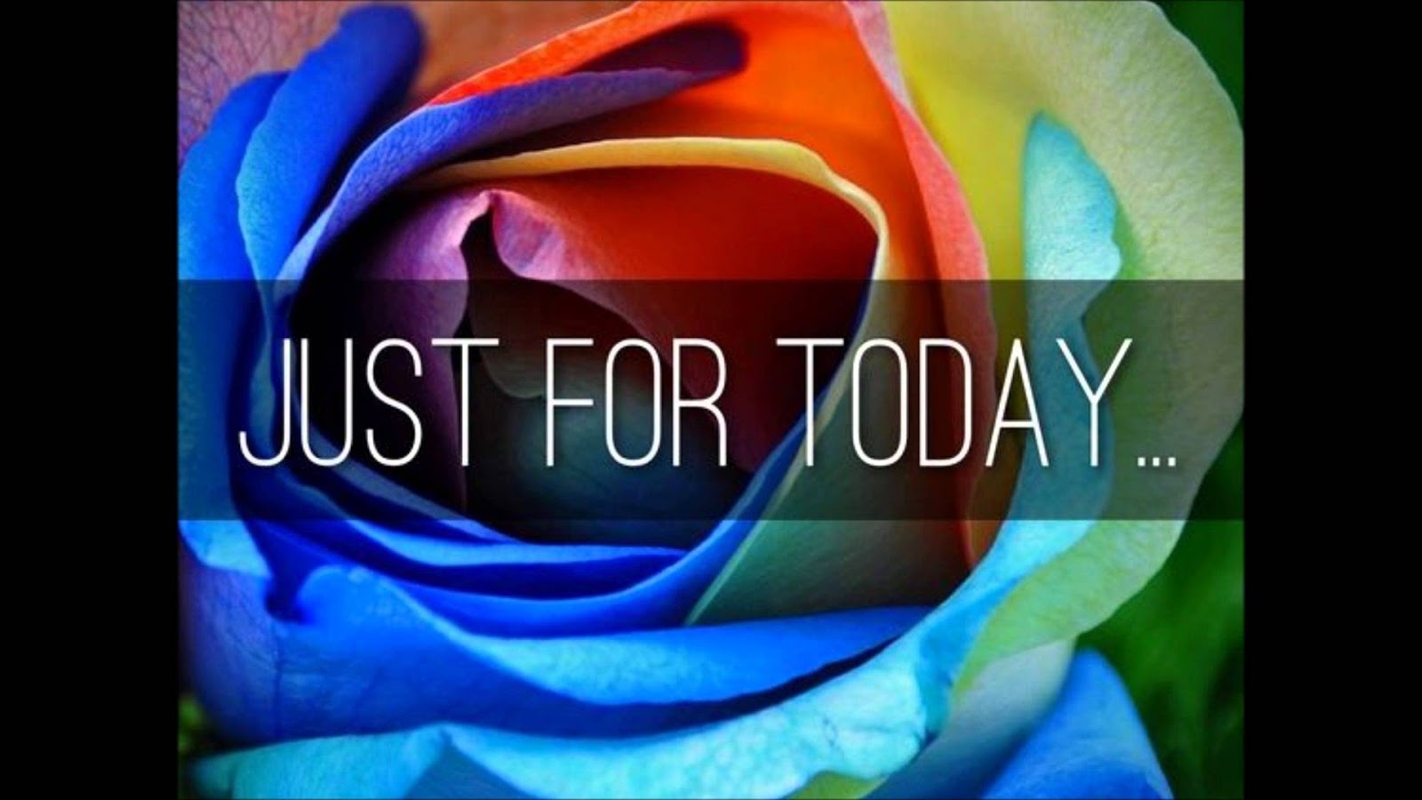 Tuesday November 27 2018 Just For Today I Will Adjust Myself Audio For Just Today I Will Adjust Myself