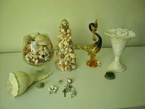 Seashell Treasures