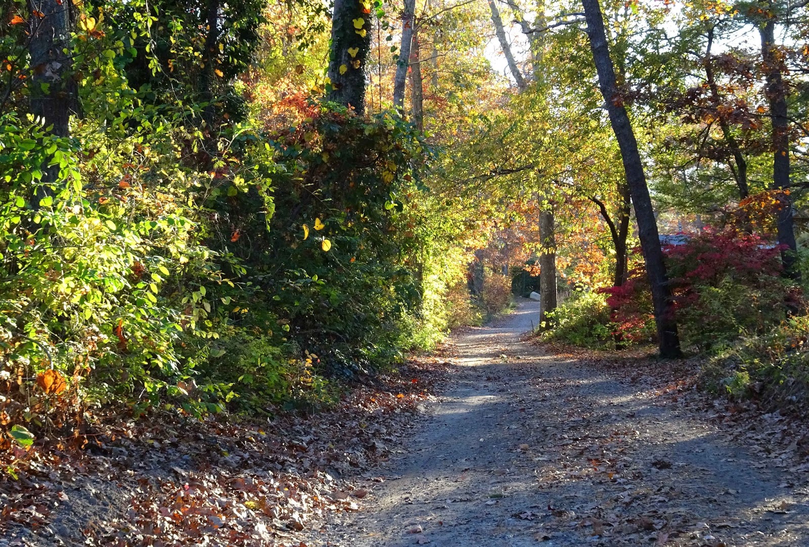 Joe's Retirement Blog A Manomet Walk, Rabbit Pond, Manomet, Plymouth