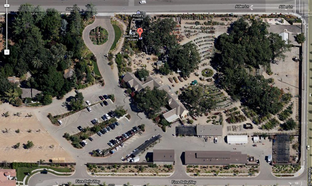 paradis express Alden Lane Nursery