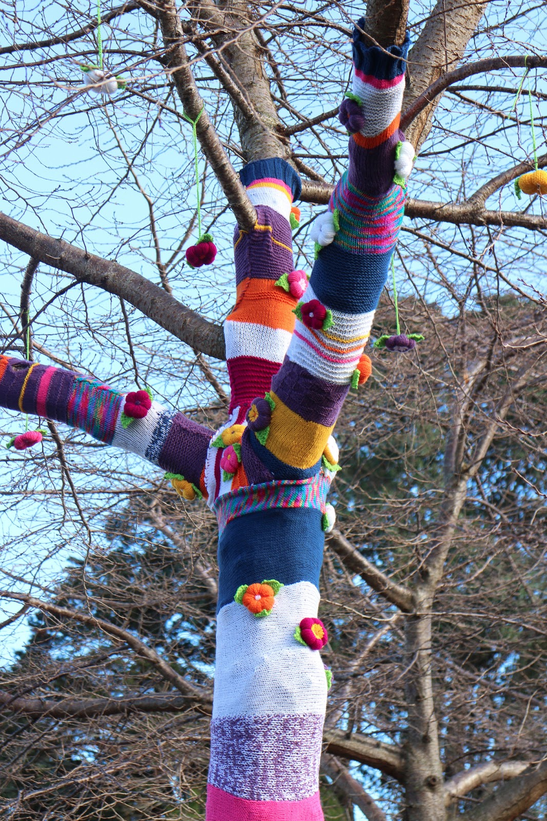 деревья одевают. деревья одели разноцветные наряды. деревья одевают. ярнбомбинг деревья. когда деревья надевают этот наряд дидактическая игра.