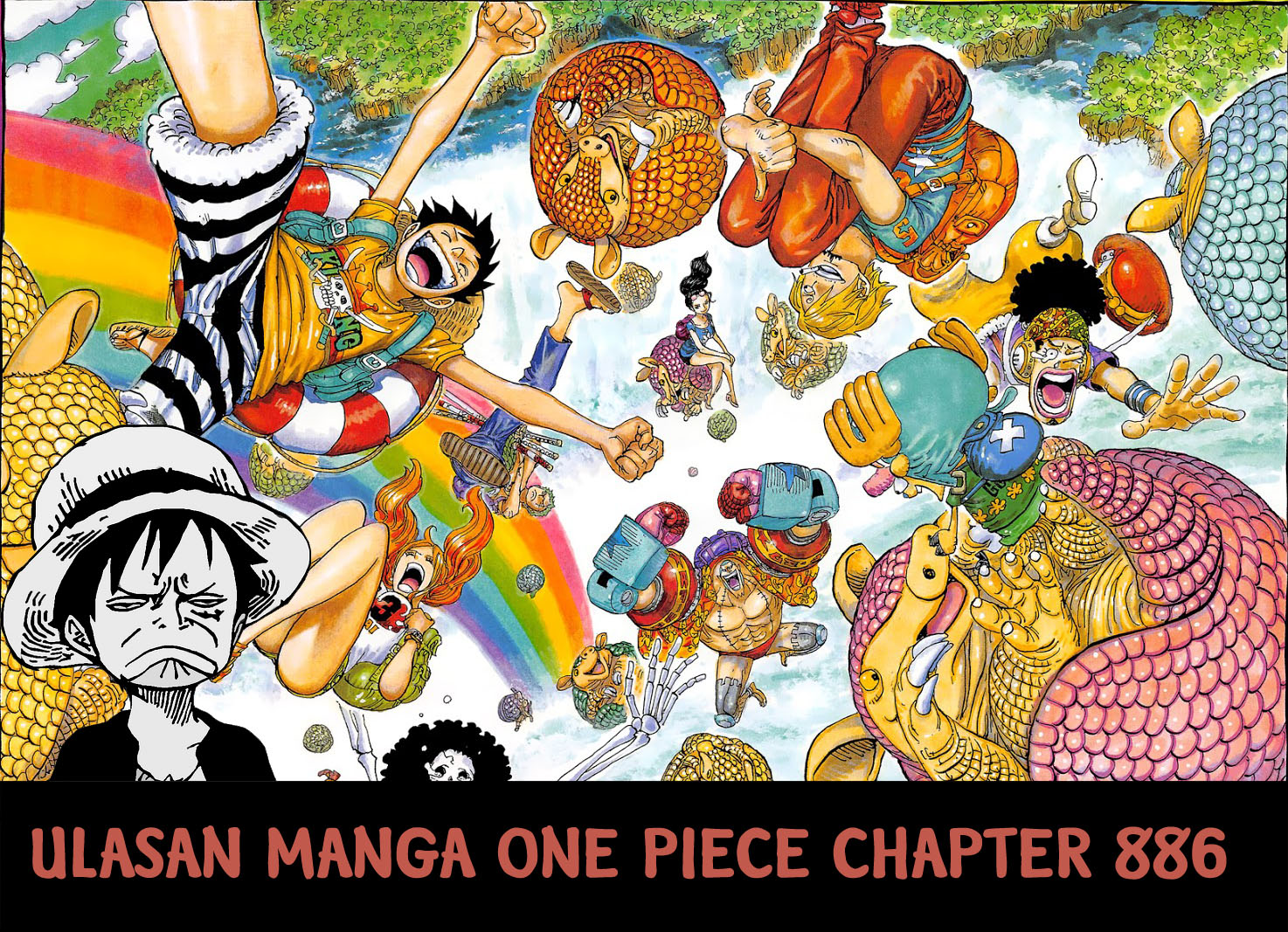 One Piece 886