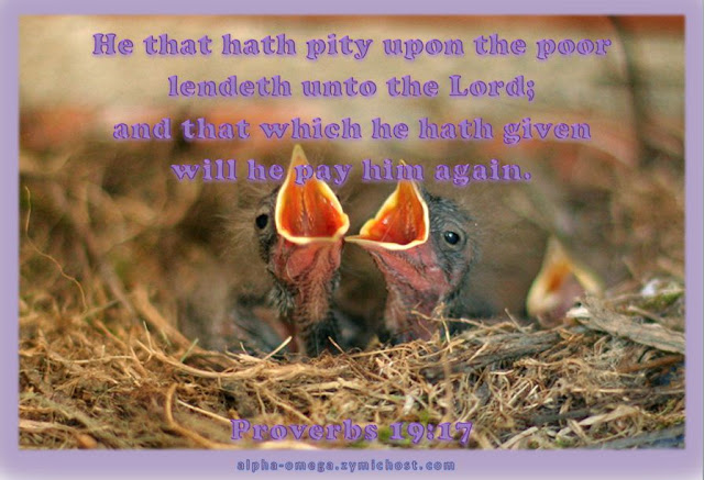 He that hath pity upon the poor lendeth unto the Lord; and that which he hath given will he pay him again.