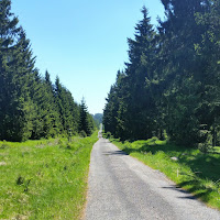 Wandern und Laufen im tschechischen Erzgebirge