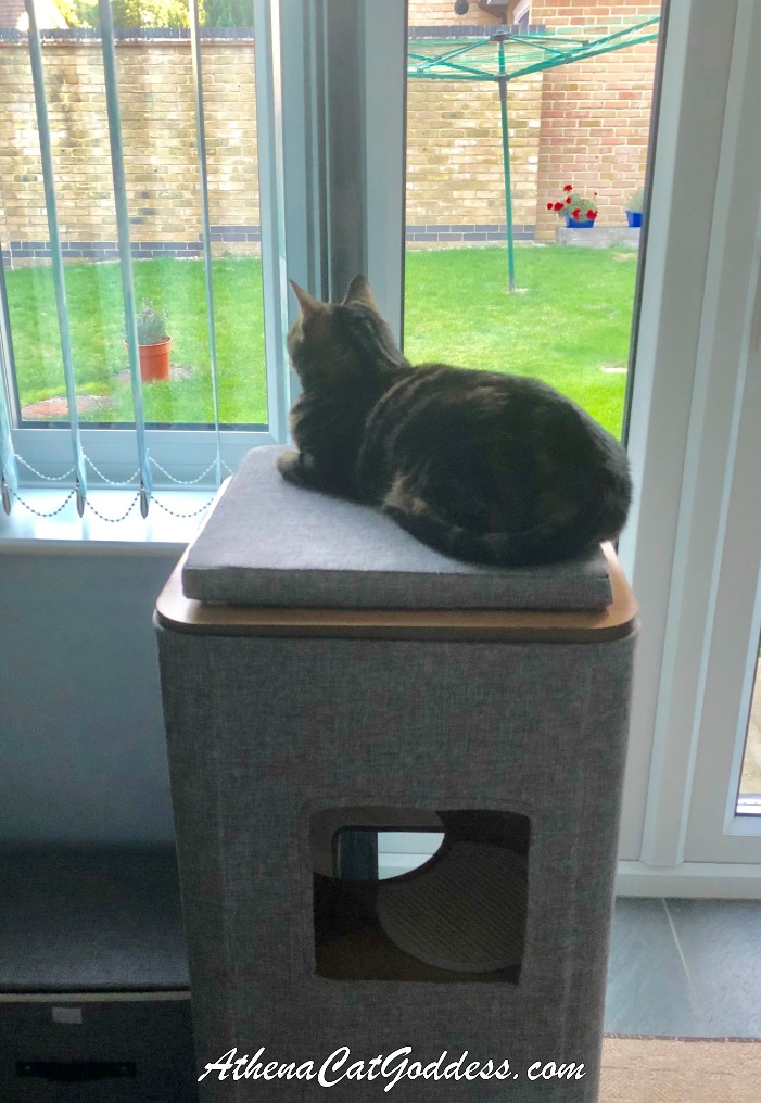 vesper cubo cat tower