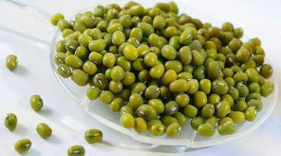 Kandungan Nutrisi dan Manfaat Kacang Hijau | Roliyan.com Kandungan Nutrisi dan Manfaat Kacang Hijau | Roliyan.com
