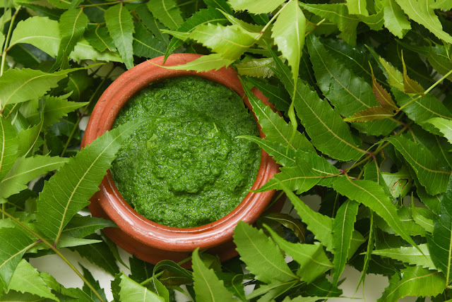 Neem Paste