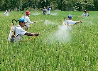 Ilmu Kimia Pertanian