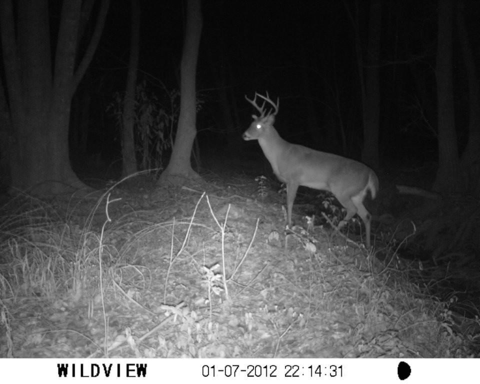 Autauga Creek Hunting Club January 2012