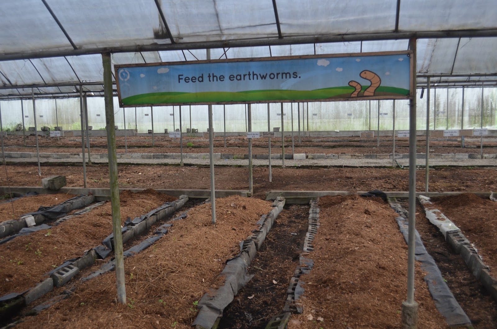 Philippine Culture and Surprises A visit to Organic and Vermiculture