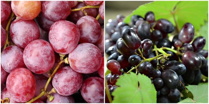 Manfaat buah anggur ungu dan merah memiliki 6 efek penyembuhan ini
