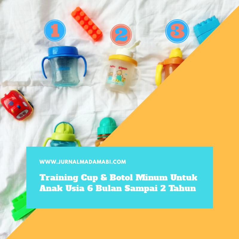 Training Cup & Botol Minum Untuk Anak Usia 6 Bulan Sampai 2 Tahun