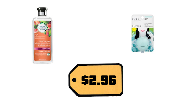 Fun Budgeting activity idea for LDS Activity Days from /