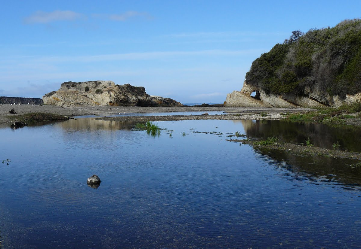 BIRDING THE CENTRAL COAST SPOONER'S COVE LAGOON