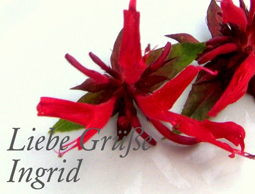 auchwas: Beeren-Zeit: Himbeer-Coulis auf Kaffee-Eis auchwas: Beeren-Zeit: Himbeer-Coulis auf Kaffee-Eis