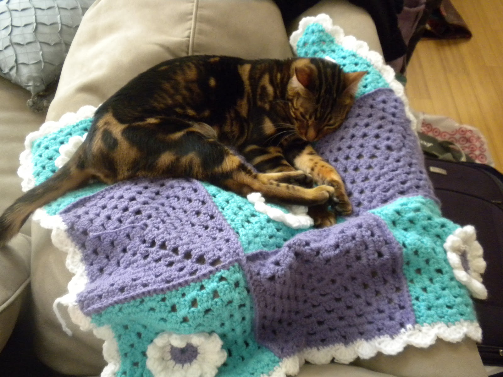 Jedi Craft Girl: A blanket for Marbles