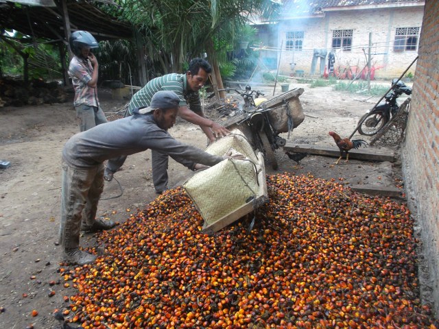 Prinsip Pemberian Kredit 5c Natinedjs