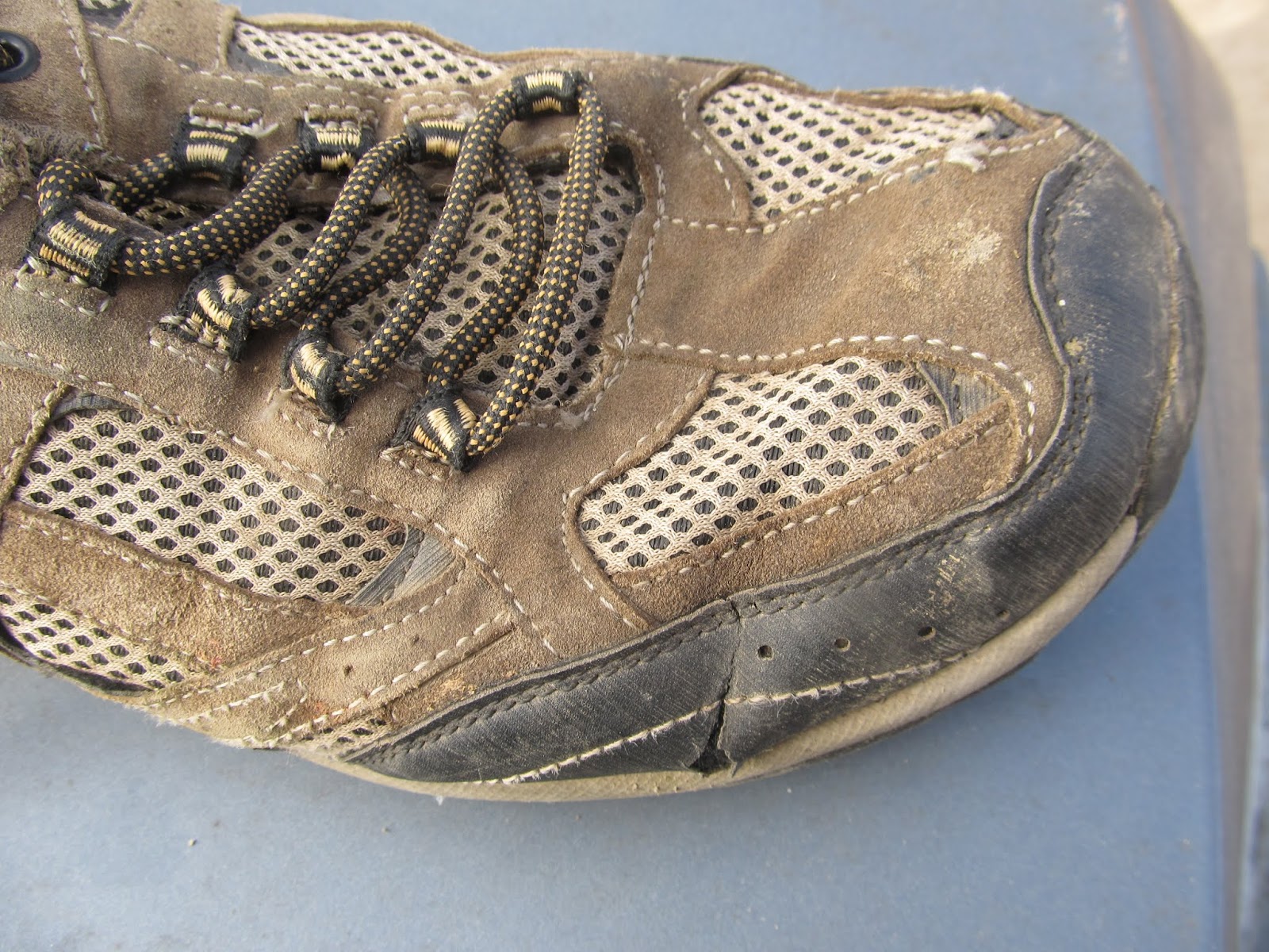 Eaton Rapids Joe Update on Inexpensive, Walmart Walking Shoes