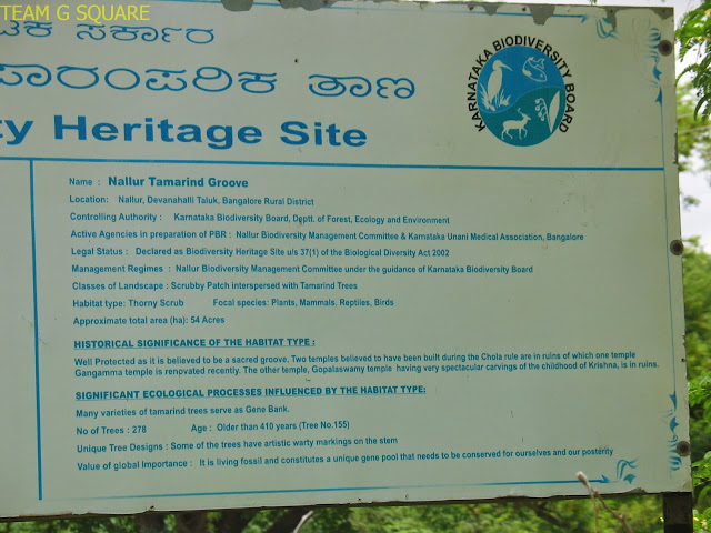 Nallur Biodiversity Heritage Site 