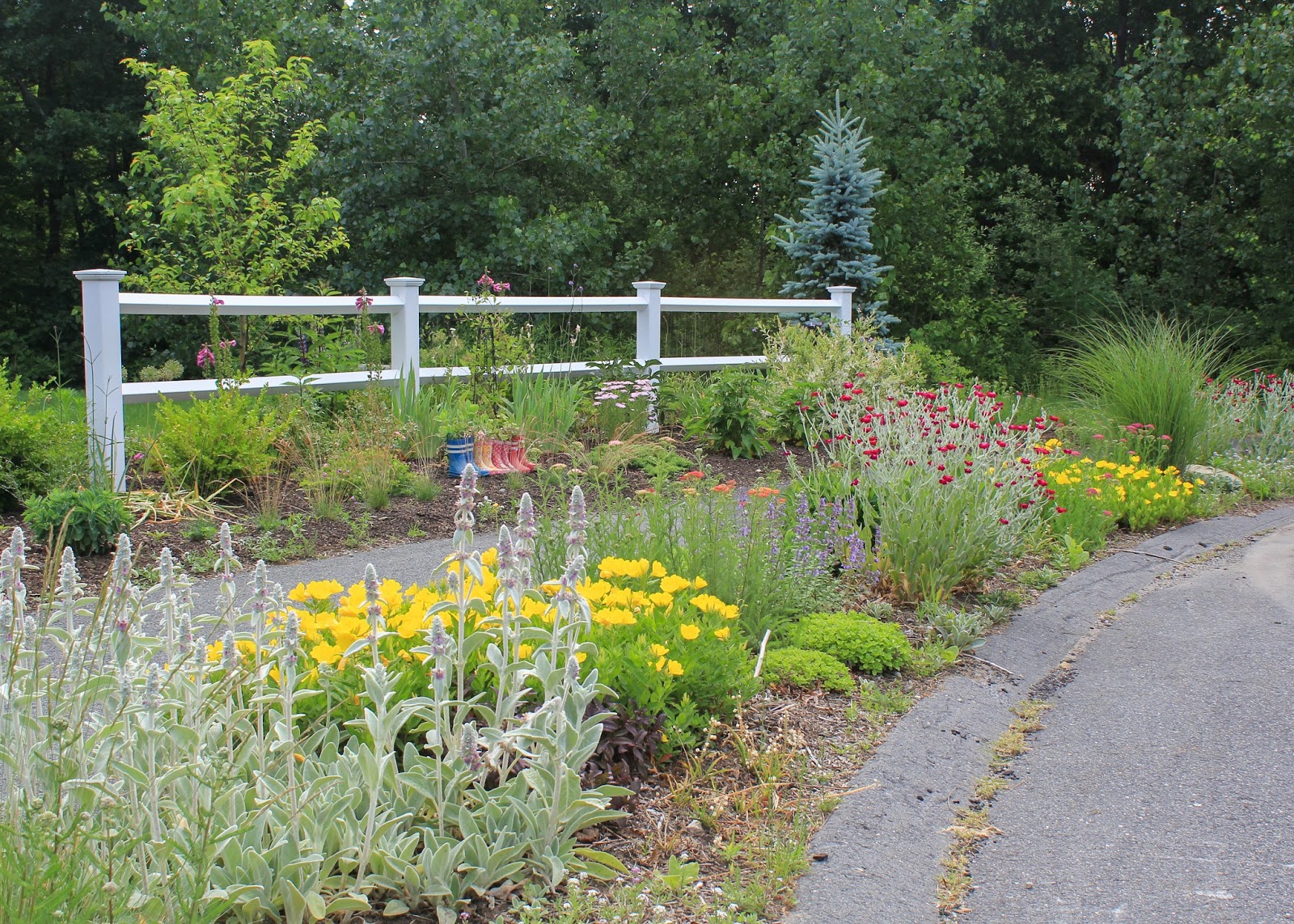 Gardeners What do you think about drugs like Alerin EcoBerry Healthy garden Gardeners What do you think about drugs like Alerin EcoBerry Healthy garden