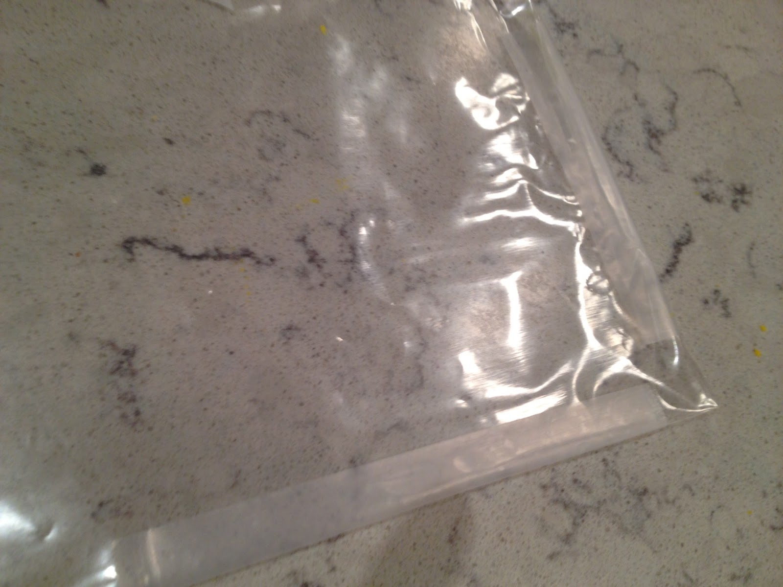 Tammy Is Blessed DIY Ziplock Icing Bag Tutorial