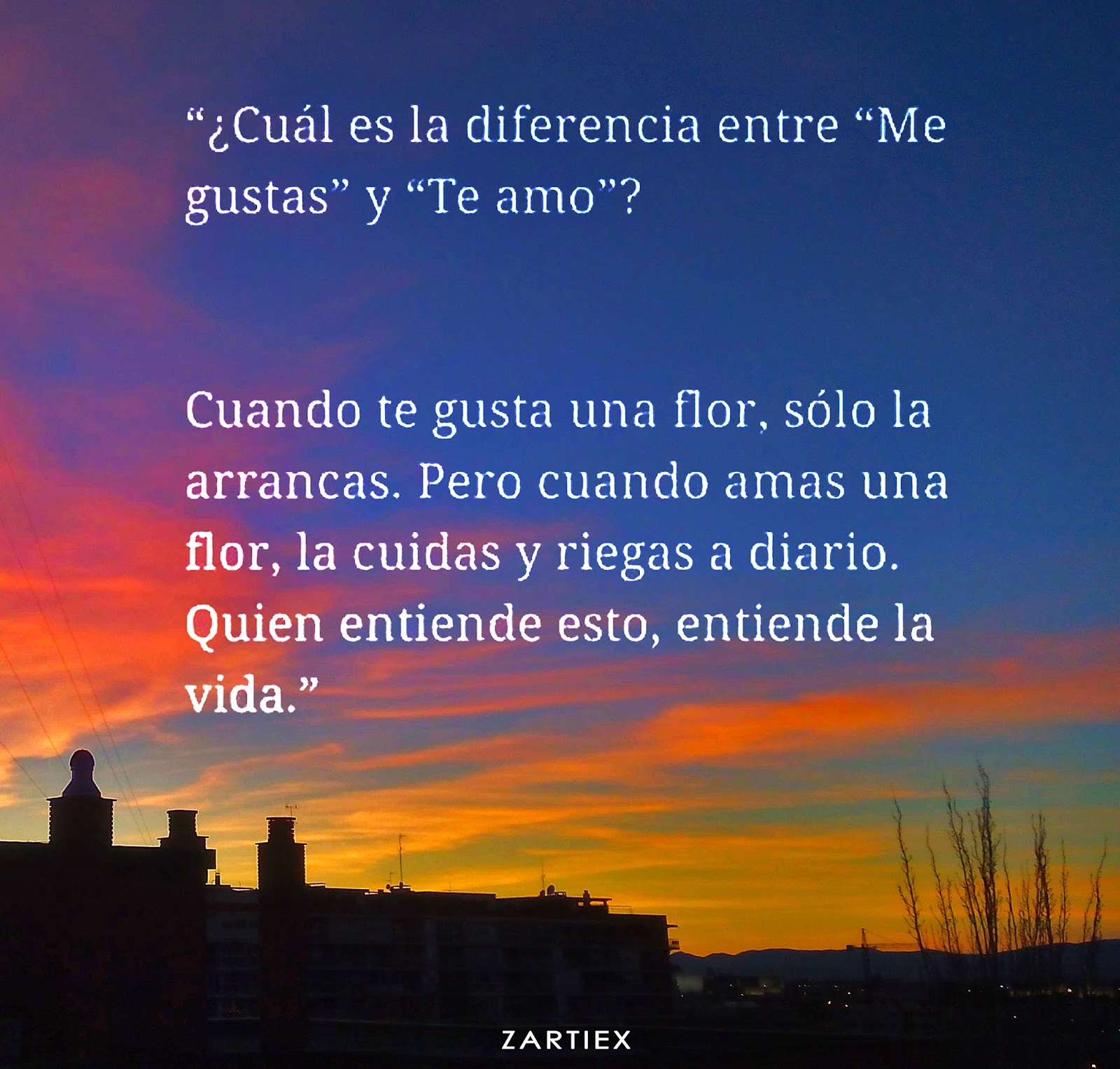 Imágenes de amor con frases fotos románticas Descargar imágenes Descargar gratis fotos e imagenes de amor con frases para mi novio o novia