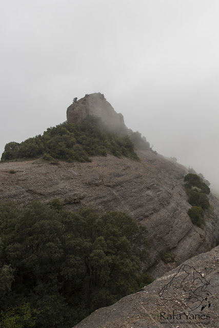 Ruta: Els Cortins y Cova Simanya