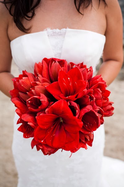 Red amaryllis wedding flowers