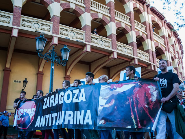 Zaragoza Antitaurina contra el toro de la Vega en Tordesillas -  Anti bullfighting Fiestas del pilar Remember